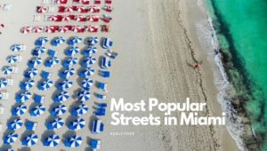 Read more about the article 10 Most Popular Streets in Miami