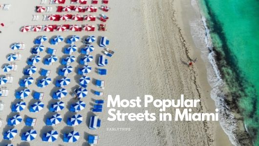 10 Most Popular Streets in Miami