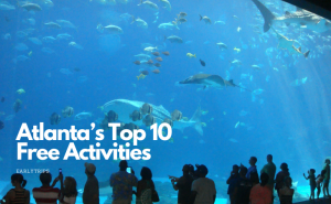 Read more about the article Atlanta’s Top 10 Free Activities