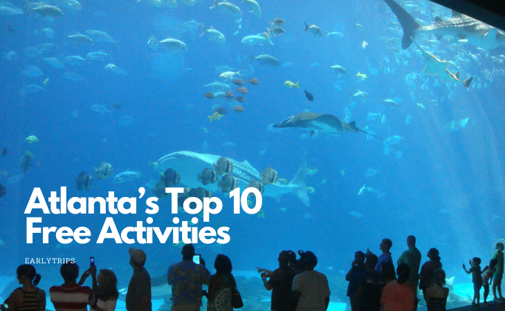 Top 10 atlanta activities