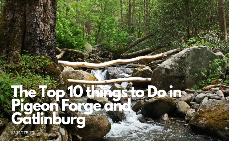 Read more about the article The Top 10 things to Do in Pigeon Forge and Gatlinburg