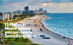 Read more about the article 13 Places in Miami where you can Learn Something New