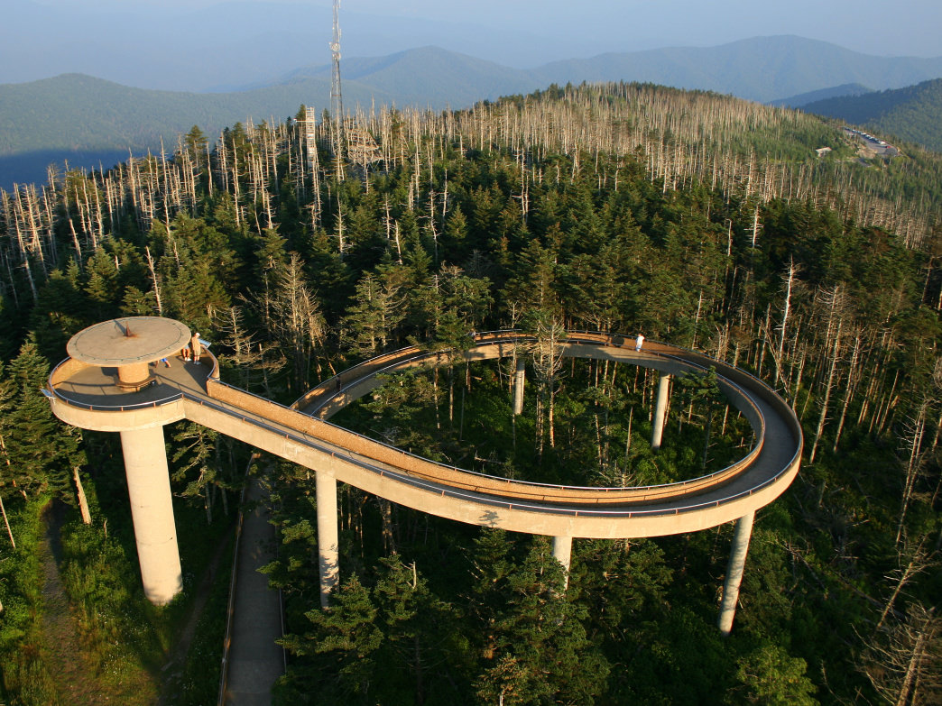 6 Ways to Hike to Clingmans Dome, Tennessee's Highest Mountain