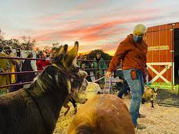 Danny's Farm Charitable Foundation - Home | Facebook