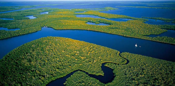 Florida Everglades - Unique Facts