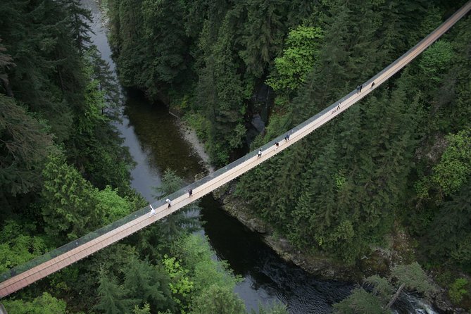 Capilano Suspension Bridge Park Ticket 2022 - Vancouver - Viator
