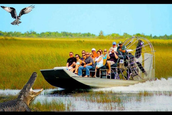 Miami Everglades Airboat Tour Adventure 2022 - Viator