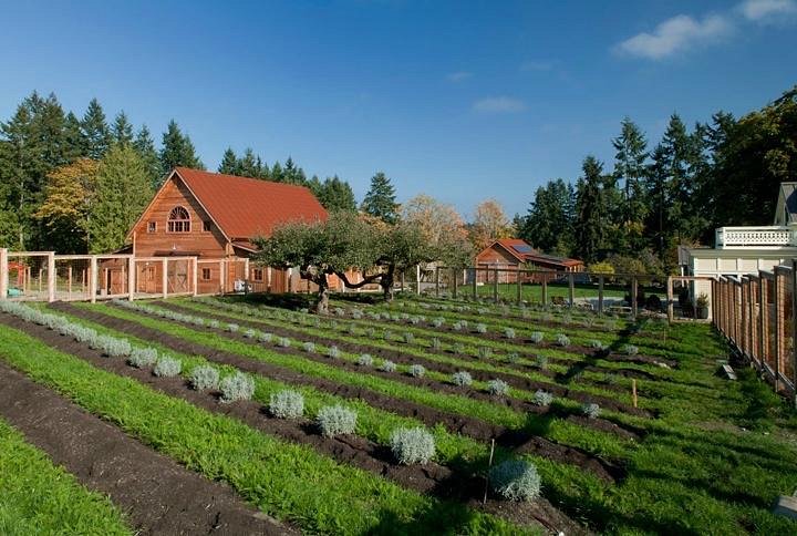 Heyday Farm (Bainbridge Island) - 2022 What to Know Before You Go (with Photos) - Tripadvisor