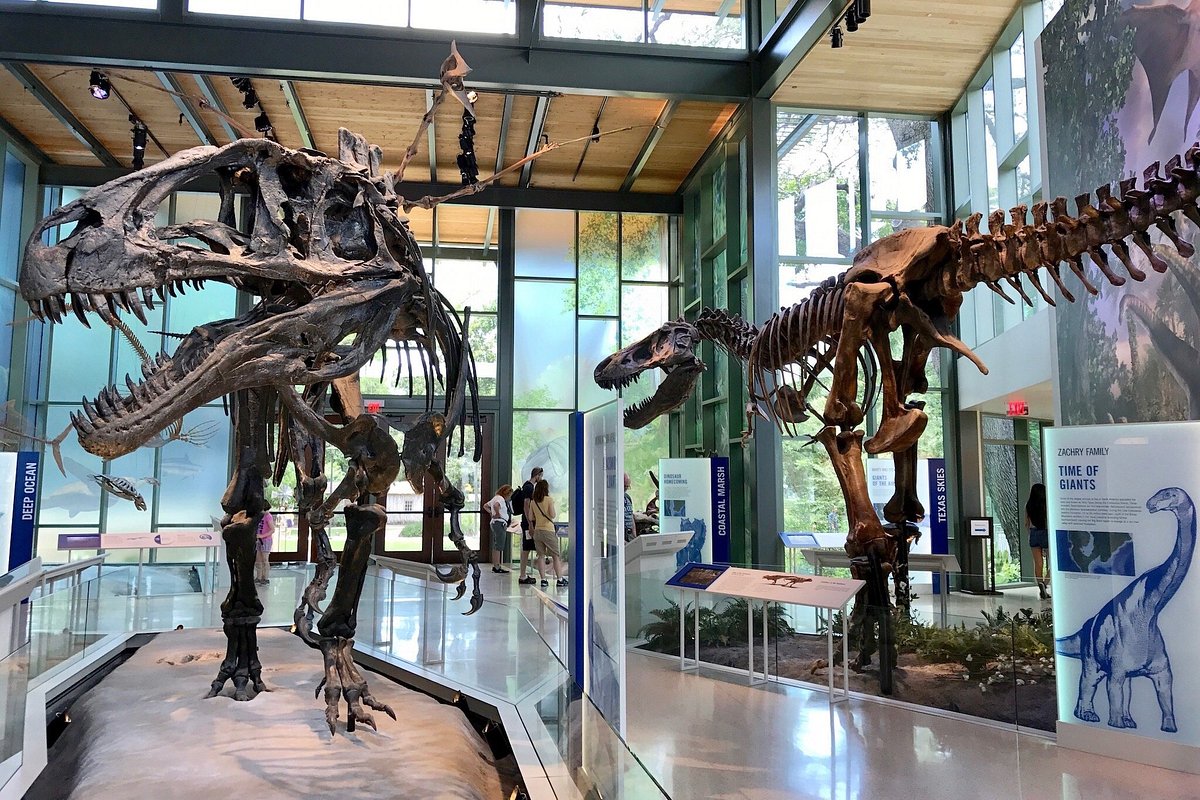 Witte Museum (San Antonio) - 2022 What to Know Before You Go (with Photos) - Tripadvisor