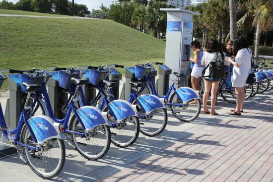 MIAMI BEACH. Location de vélos Citibike. - Picture of Citibike, Miami Beach  - Tripadvisor