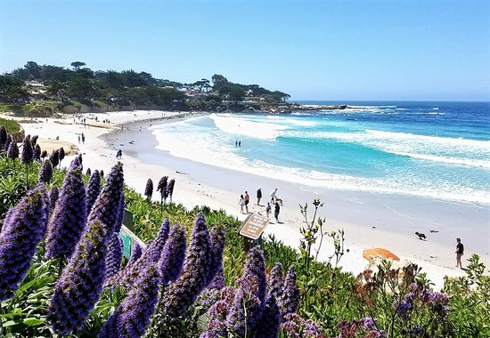 Carmel by the Sea Bach - Reviews, Photos - Carmel Beach Boardwalk -  Tripadvisor