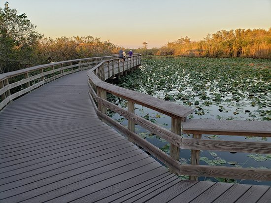 Anhinga Trail - Sunset - Everglades National Park, FL - Picture of Anhinga Trail, Everglades National Park - Tripadvisor
