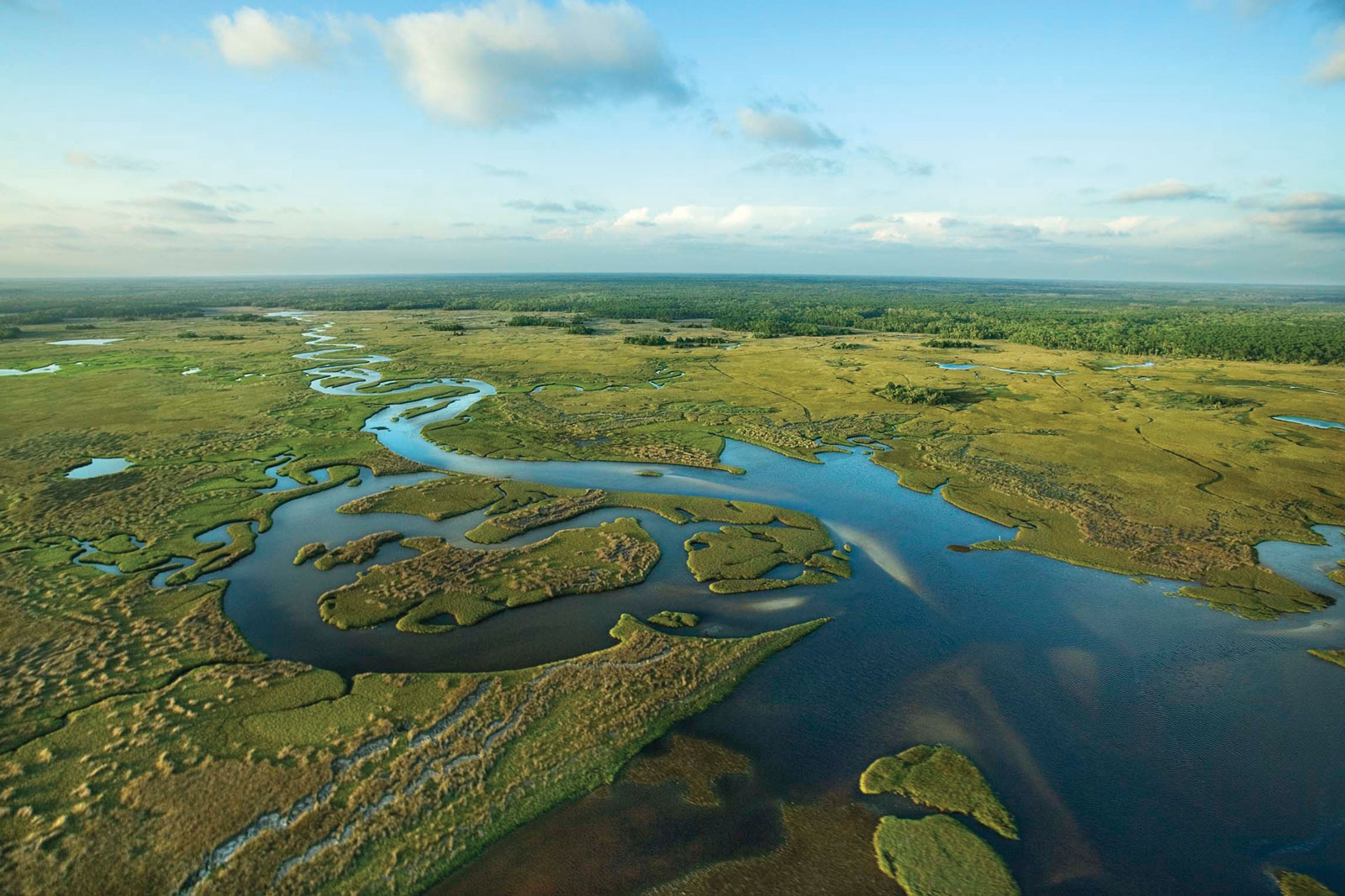 Discover the Florida Everglades National Park | Ocean Blue Project