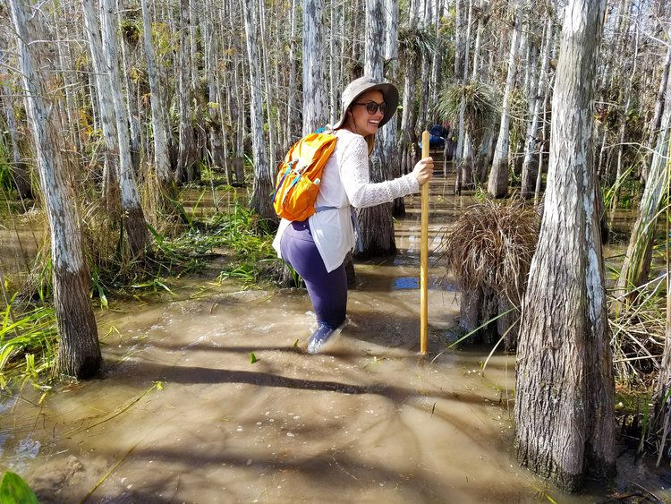 Absolutely Do A Slough Slog | Everglades, Everglades city, Everglades national park