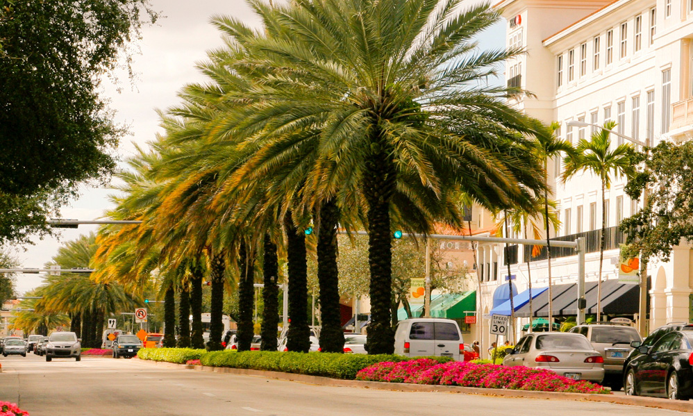 Downtown Coral Gables & Miracle Mile | Miami | Wheretraveler