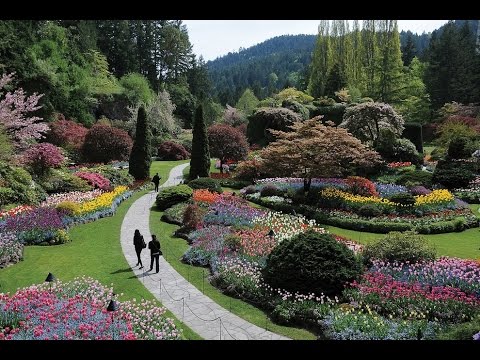 Fairchild Tropical Botanic Garden in Miami - must visit! - YouTube