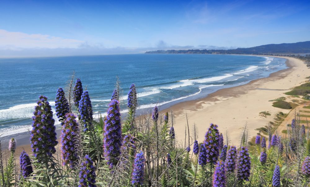 Stinson Beach, Stinson Beach, CA - California Beaches