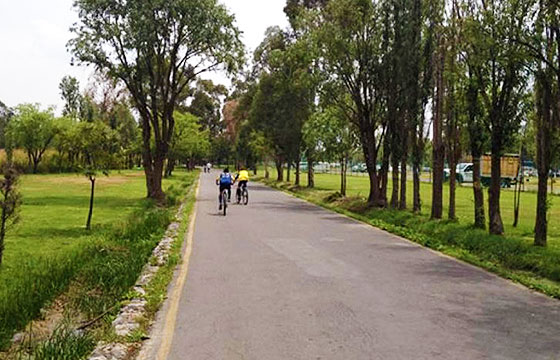 10 mejores lugares donde patinar en la CDMX - El Viajero Fisgón