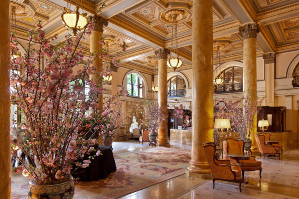 Preserve and Protect the Cherry Blossoms with the Willard InterContinental  - Journey Beyond Aspen