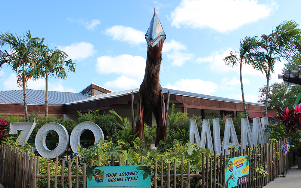 Zoo Miami seeks animal care interns – CASE NEWS
