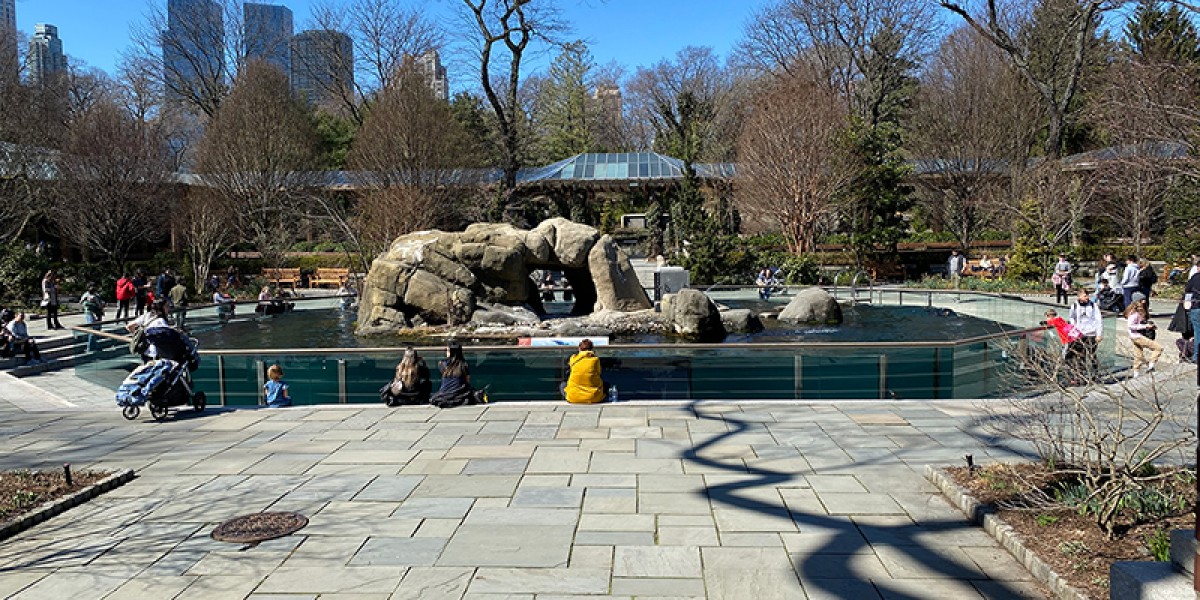 Things to do in Central Park Zoo - Ian's Adventures